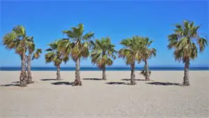 La Bajadilla Beach
