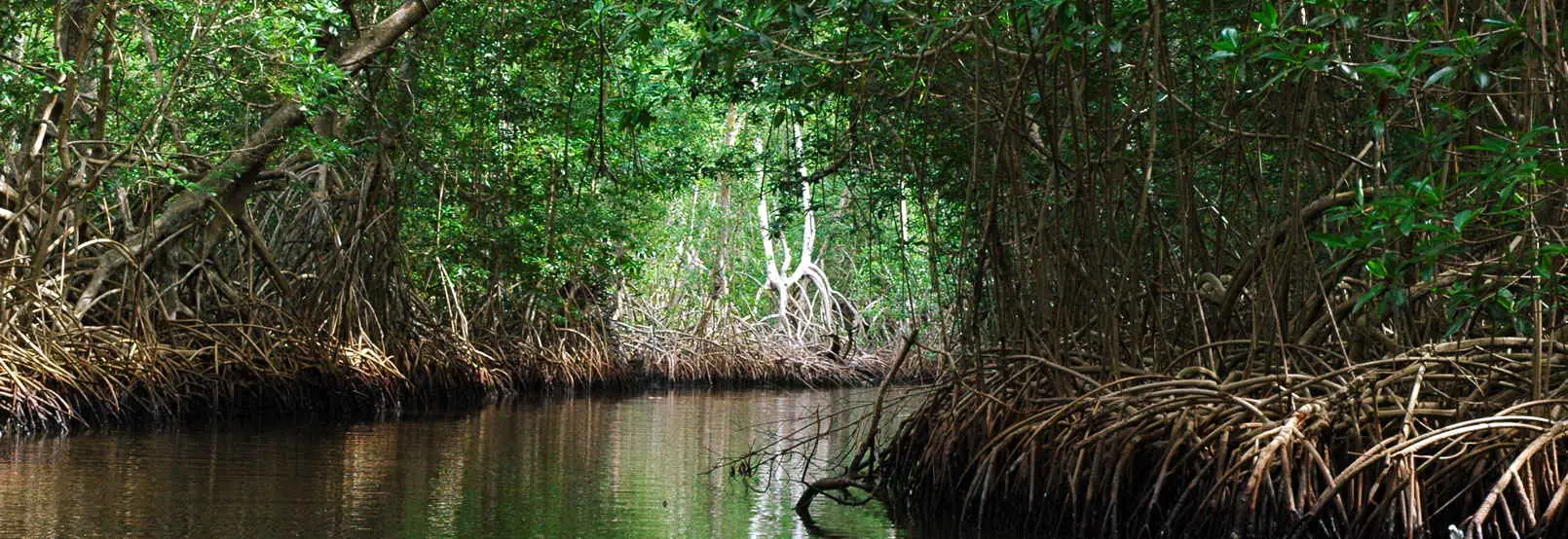 Playa de la Encrucijada