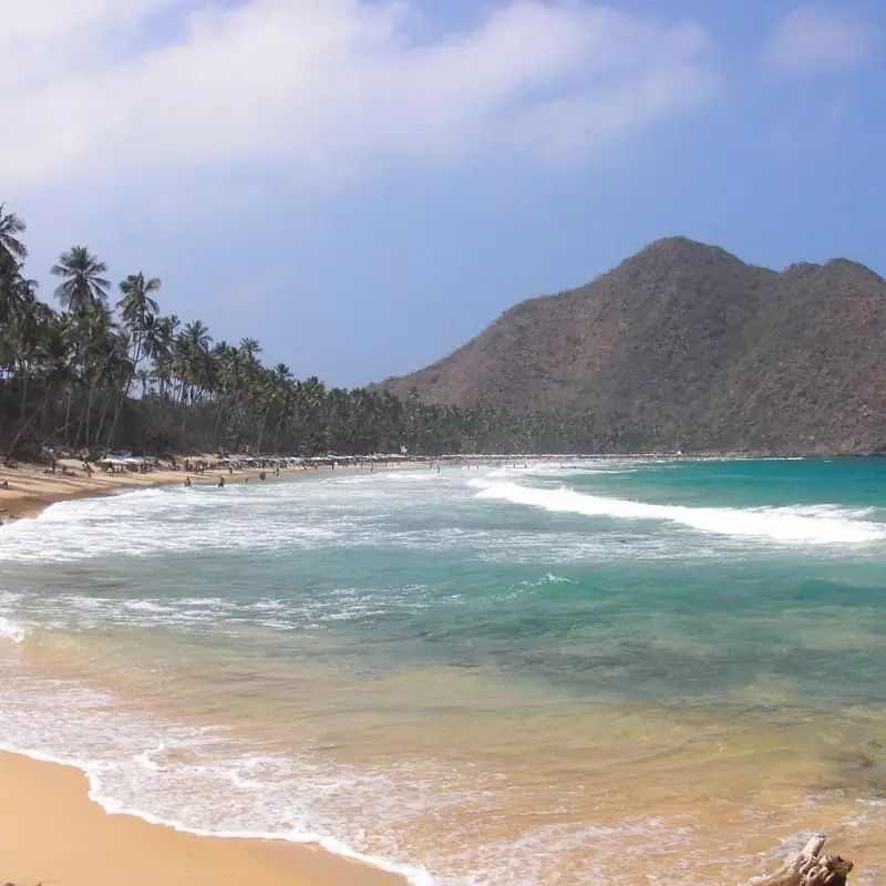 Playa Grande o playa Choroní