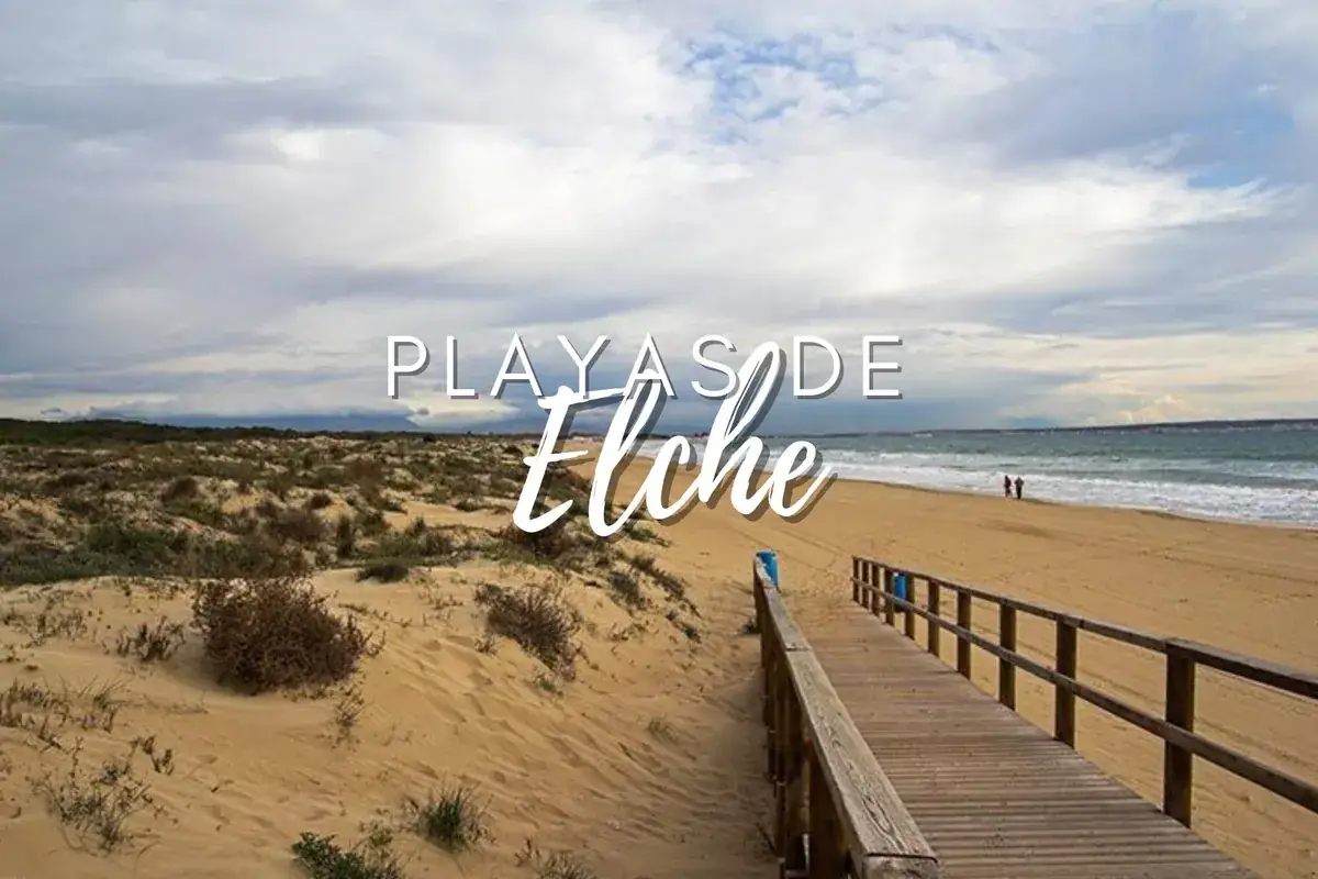 Playas de Elche