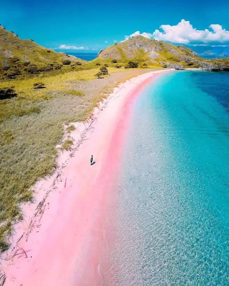 pink-beach