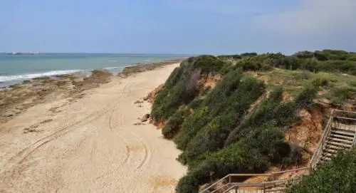 Playa Punta de las Piedras