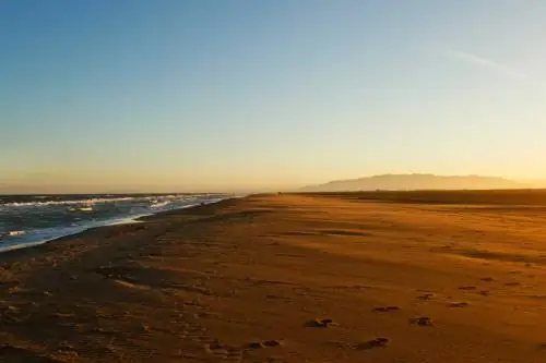 Playa de los Eucaliptos